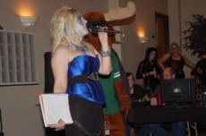 ValleyCon 37 - 2011